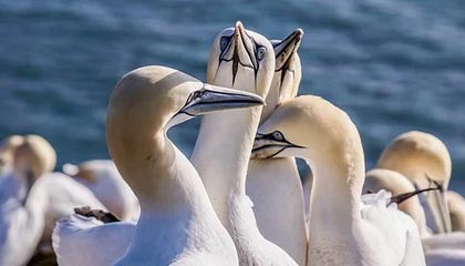 九游体育网站_ 全国射箭比赛，精准射击赢得荣誉，射箭竞技游戏