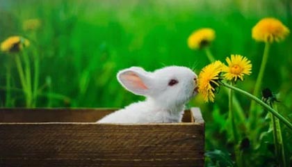 九游体育网站_ 全国游泳锦标赛，水中角逐展现实力，全国游泳大赛